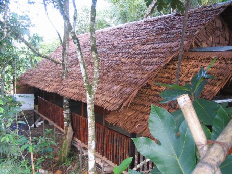 Borneo Dayak Longhouse Stay